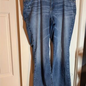 Torrid Women’s Blue Jeans